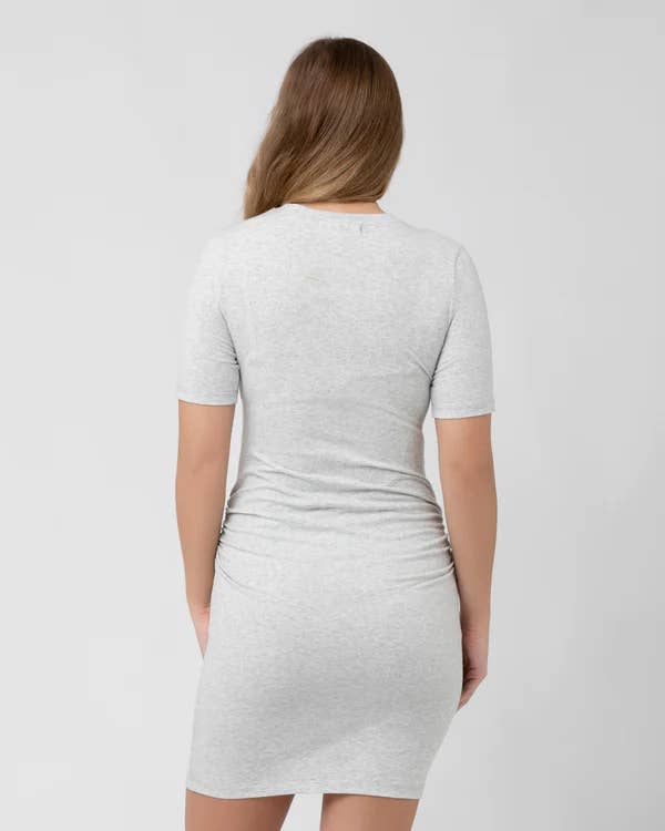 Ripe Maternity Organic Nursing Dress