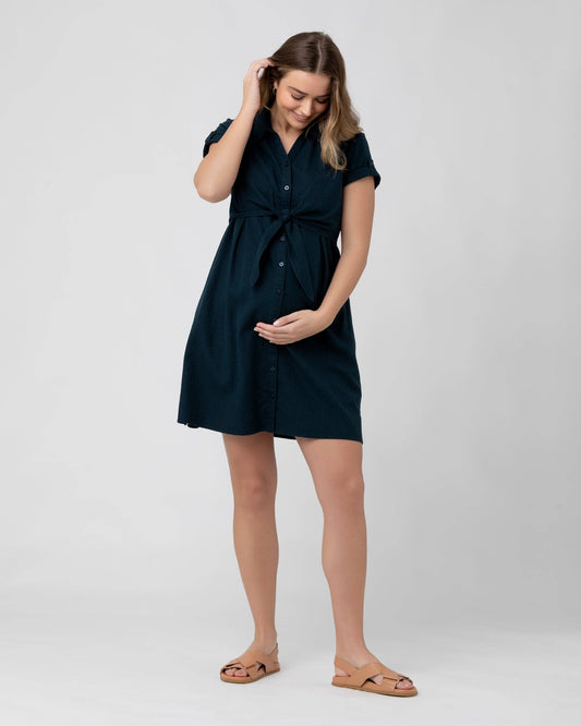 Pregnant Woman wearing a dark blue dress on a white background
