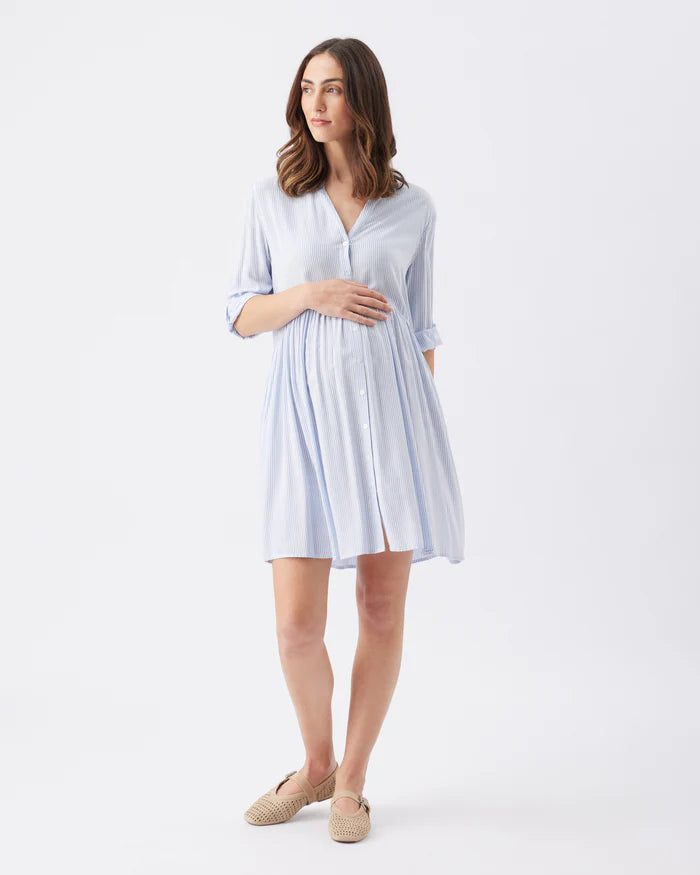 Pregnant Woman wearing a light blue maternity dress on a white background