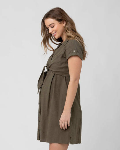 Pregnant Woman wearing a green dress on a plain background